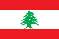 Encuentra información de diferentes lugares en Líbano